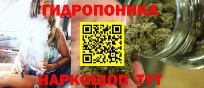 прущие грибы Малгобек