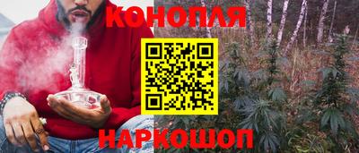 прущие грибы Малгобек